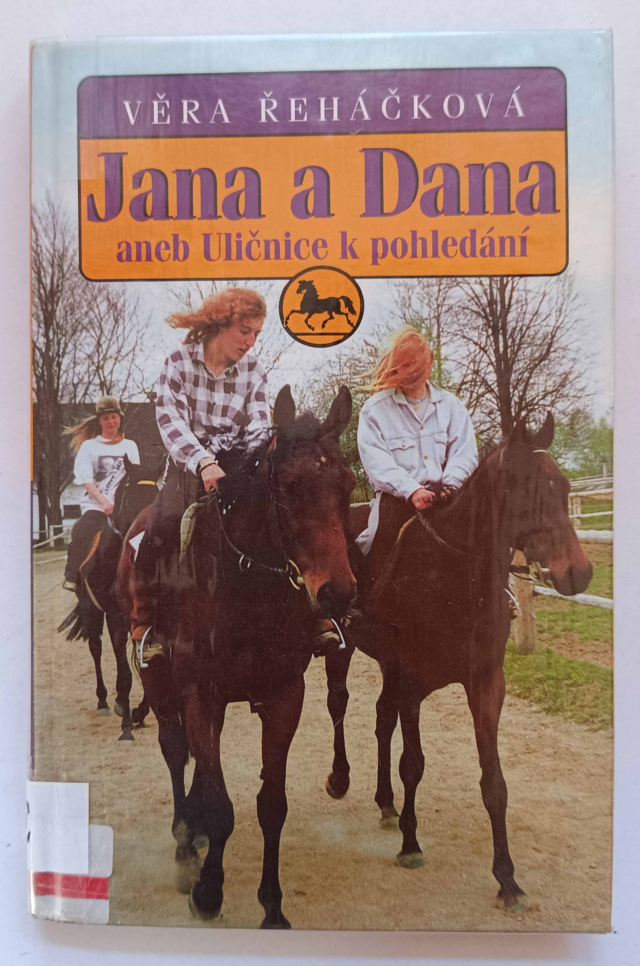 Jana a Dana aneb Uličnice k pohledání