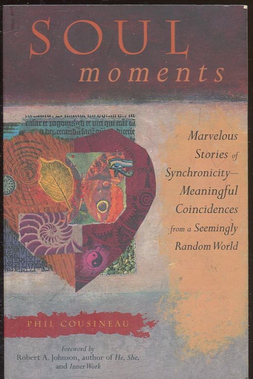 Soul moment. Marvelous stories od synchronicity - meaningful coincidences from seemingly random world