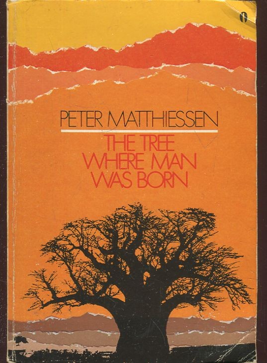 The tree where man was born