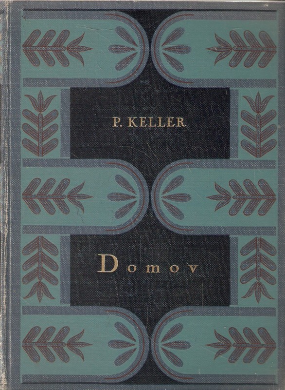 Domov : román