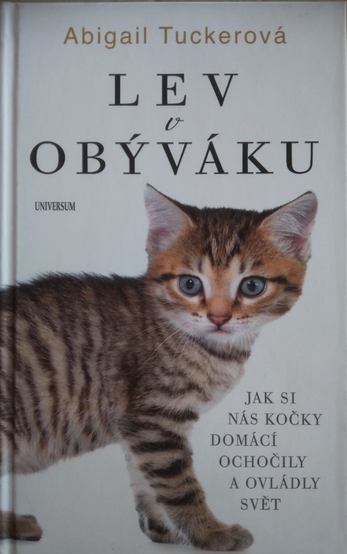 Lev  v obýváku