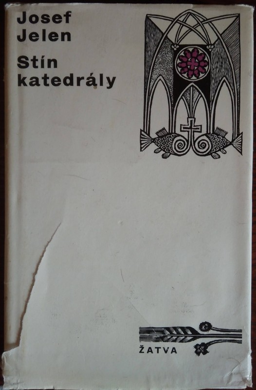 Stín katedrály