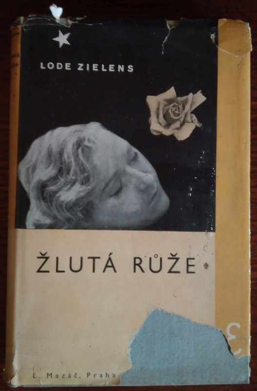 Žlutá růže