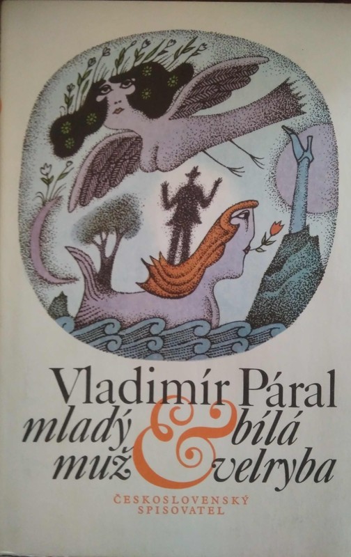 Mladý muž & bílá velryba