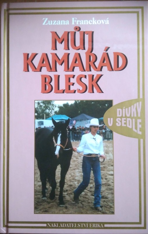 Můj kamarád Blesk
