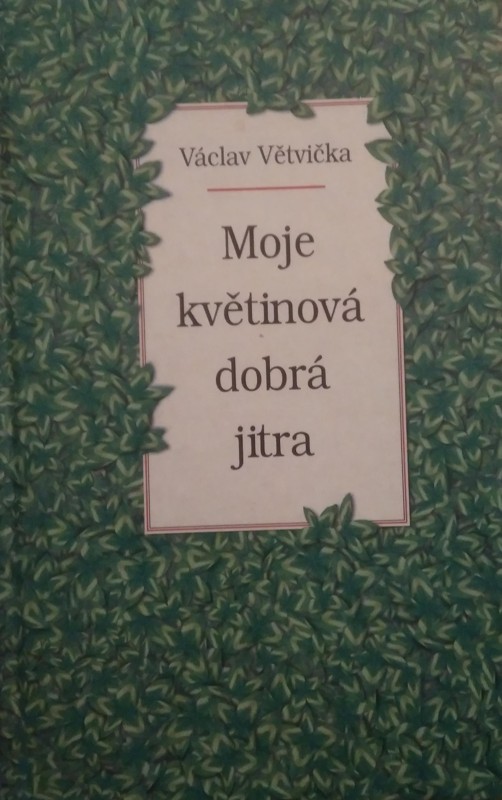Moje květinová dobrá jitra