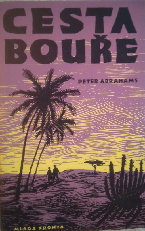 Cesta bouře