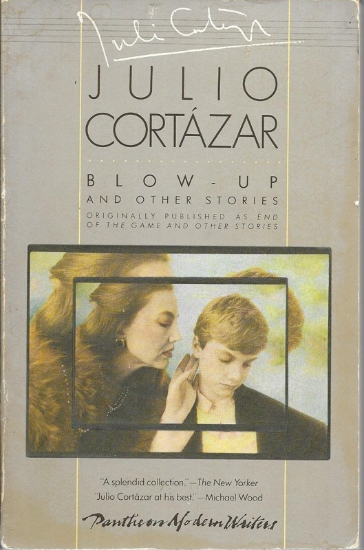 Blow-up and Other Stories
