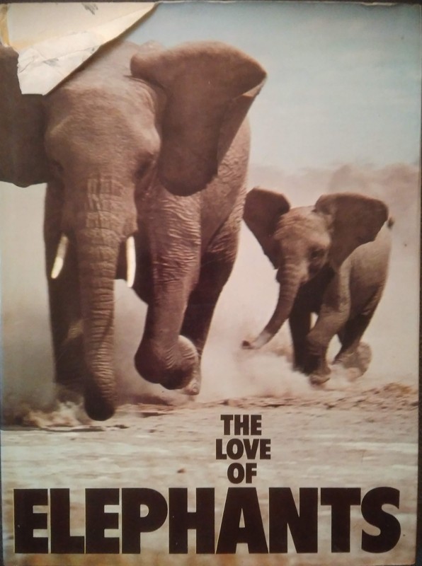 The Love of Elephants