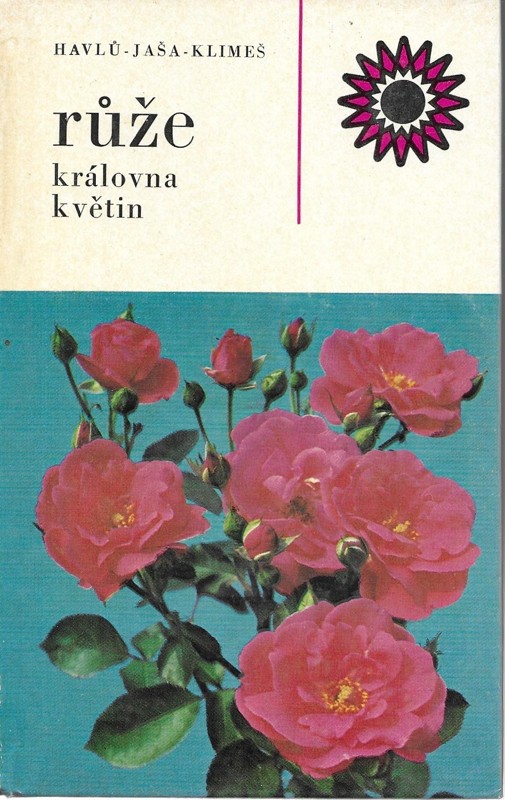 Růže, královna květin