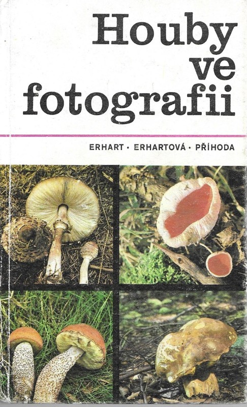 Houby ve fotografii