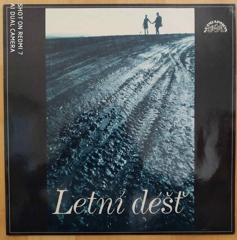 Letní déšť
