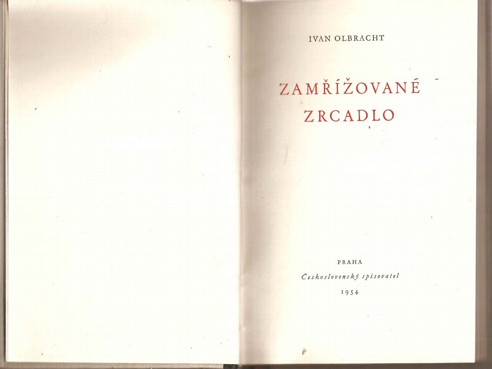 Zamřížované zrcadlo