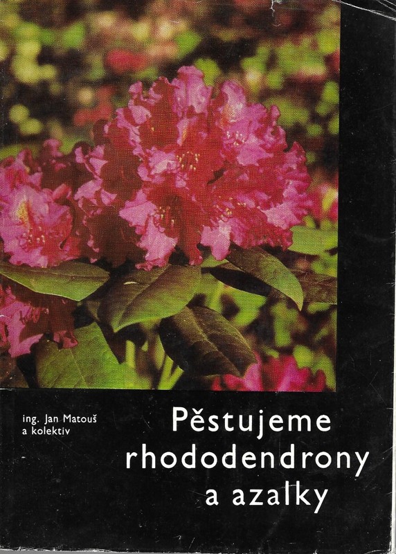 Pěstujeme rhododendrony a azalky