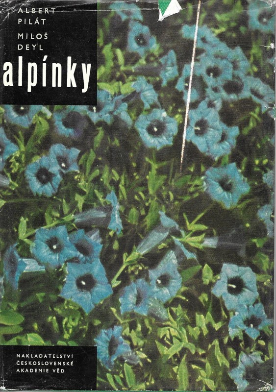 Alpínky