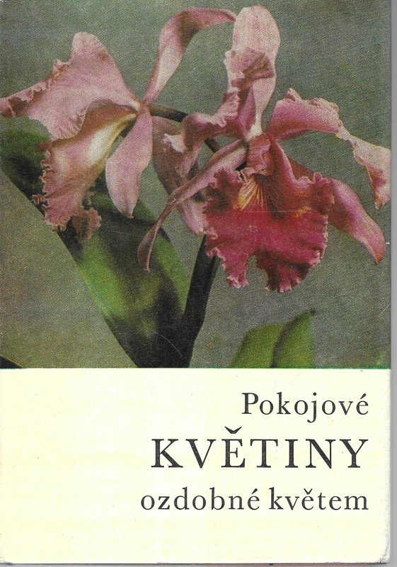 Pokojové květiny ozdobné květem