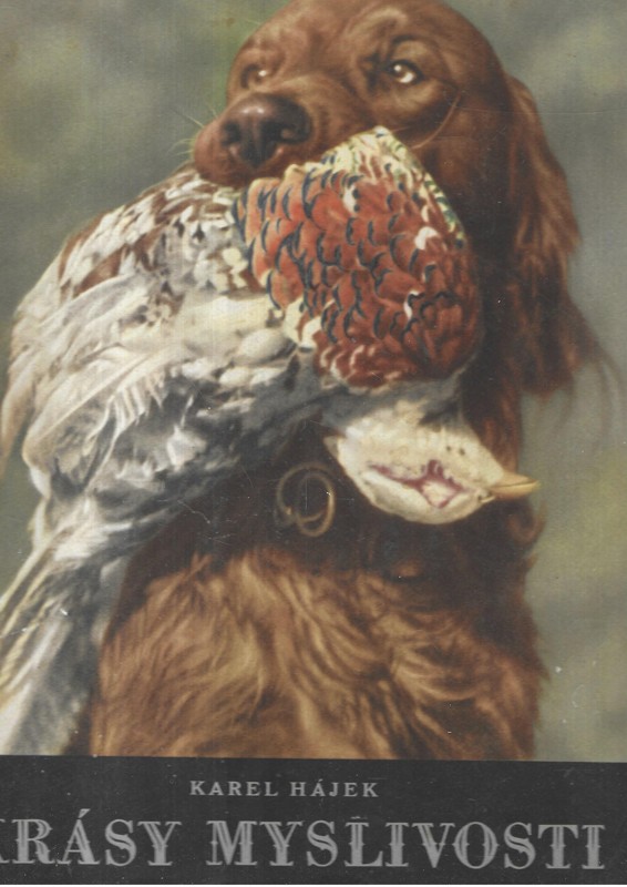 Krásy myslivosti