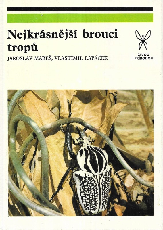 Nejkrásnější brouci tropů