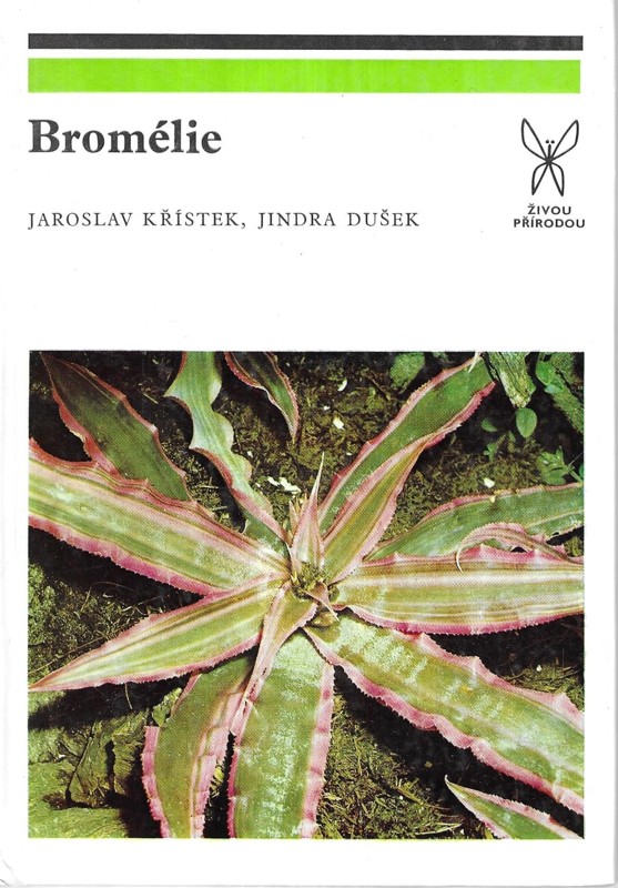 Bromélie