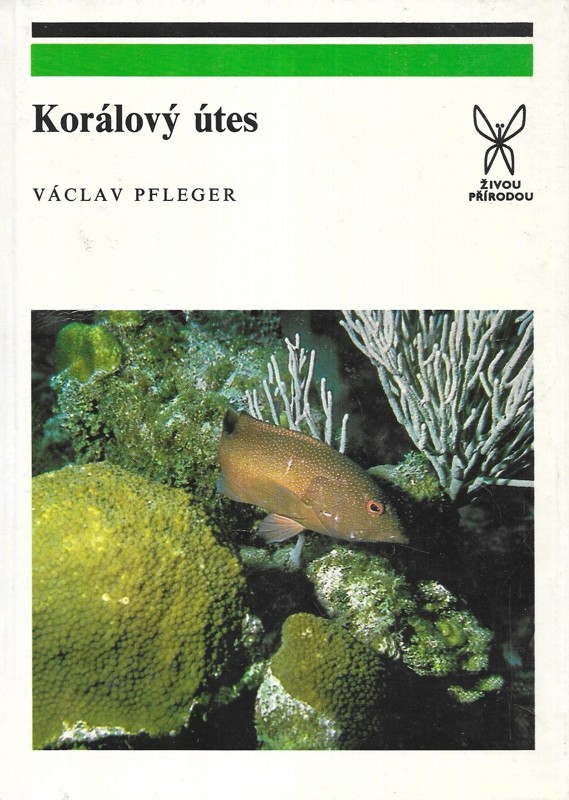 Korálový útes
