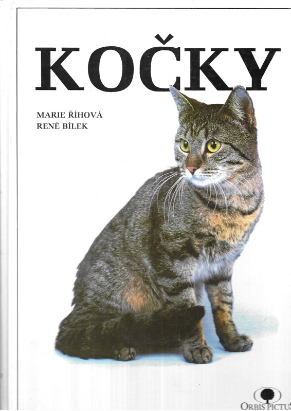 Kočky