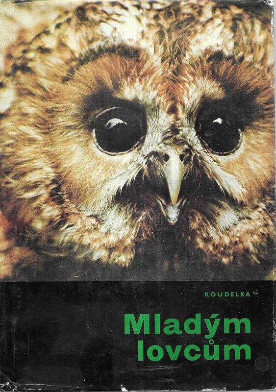 Mladým lovcům