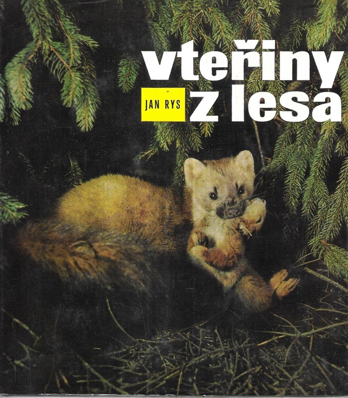 Vteřiny z lesa