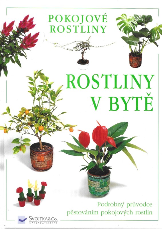 Rostliny v bytě