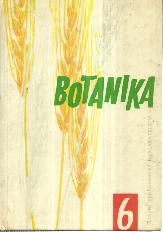 Botanika pro šestý ročník základních devítiletých škol