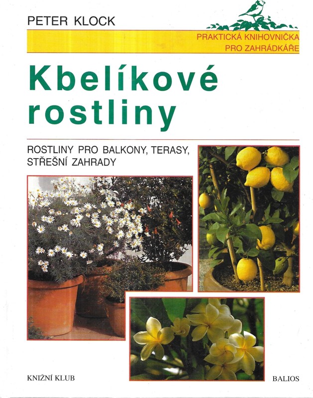 Kbelíkové rostliny : rostliny pro balkony, terasy, střešní zahrady