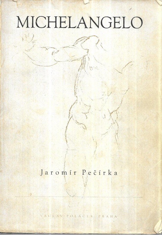 Michelangelo Buonarroti : život a dílo