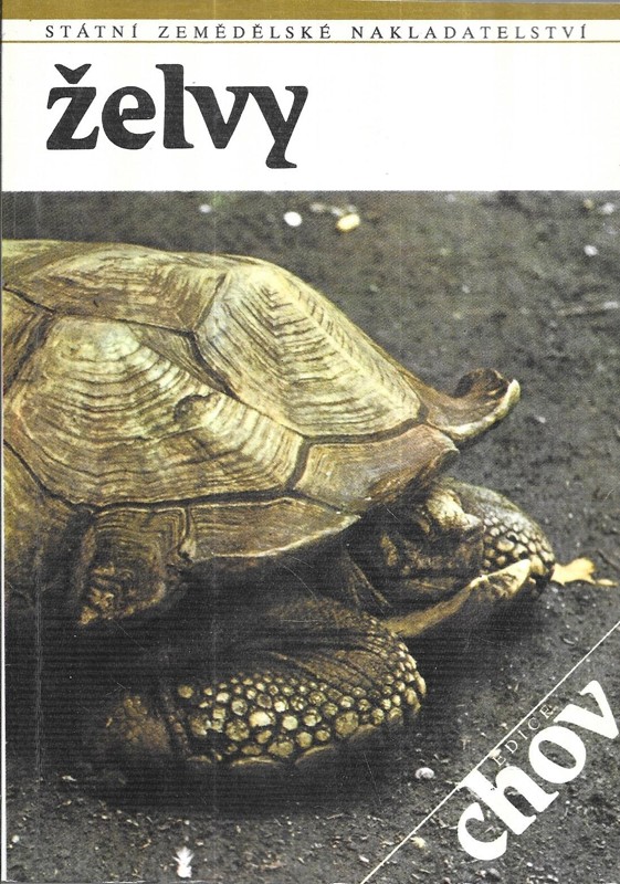 Želvy