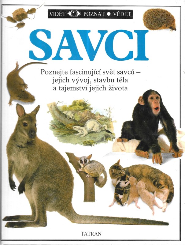 Savci