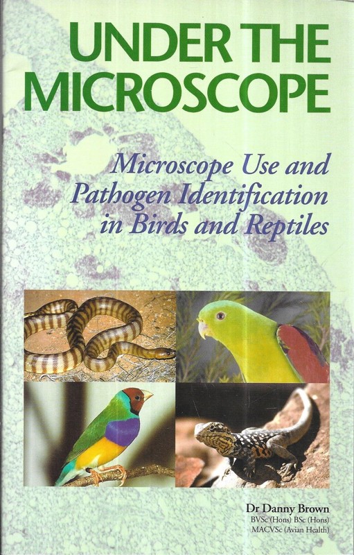 Under the Microscope