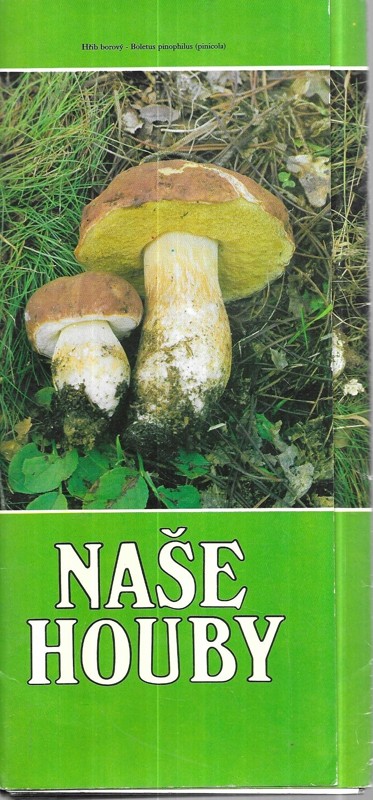 Naše houby