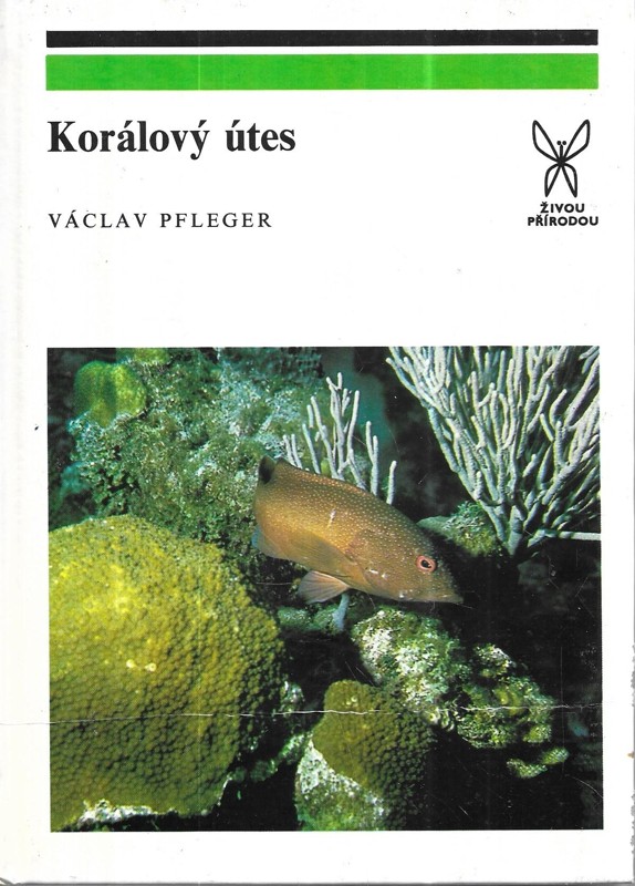 Korálový útes