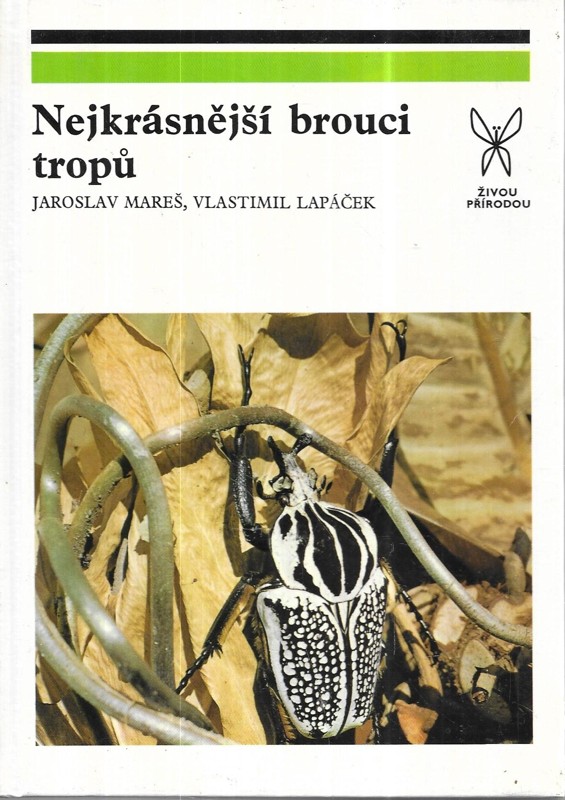 Nejkrásnější brouci tropů