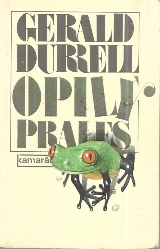Opilý prales