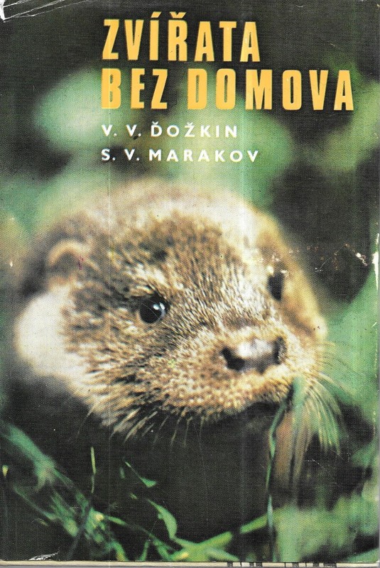 Zvířata bez domova