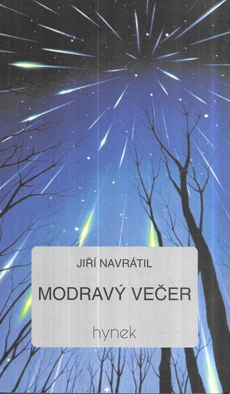 Modravý večer : román