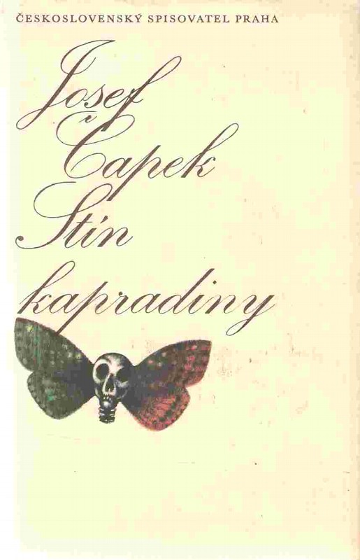 Stín kapradiny