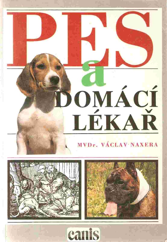Pes a domácí lékař