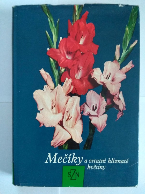 Mečíky a ostatní hlíznaté květiny