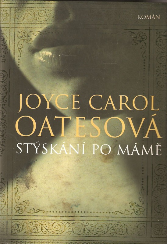 Stýskání po mámě : román