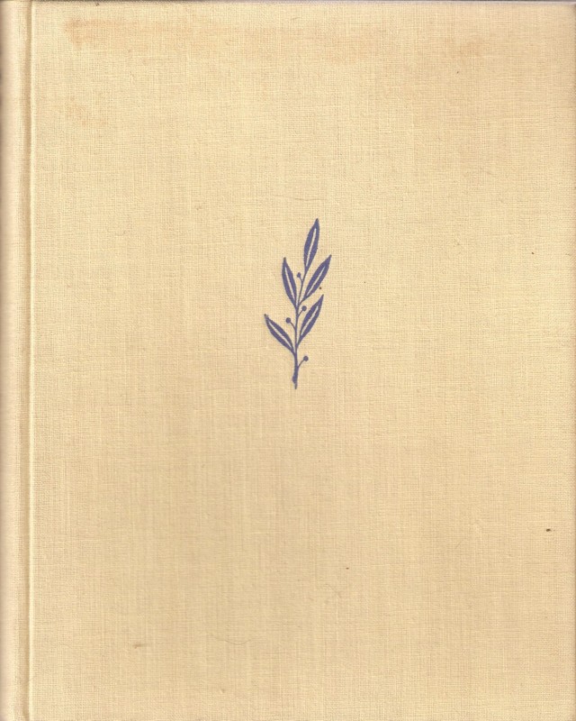 Kamenný orchestr : cyklus povídek a novel