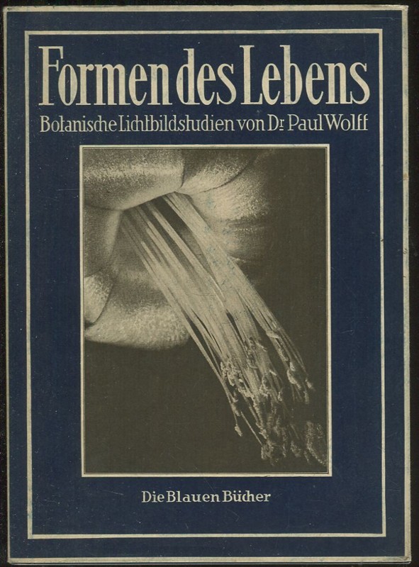Formen des Lebens. Botanische Lichtbildstudien