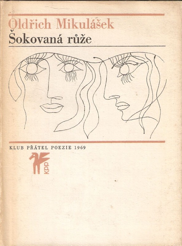 Šokovaná růže