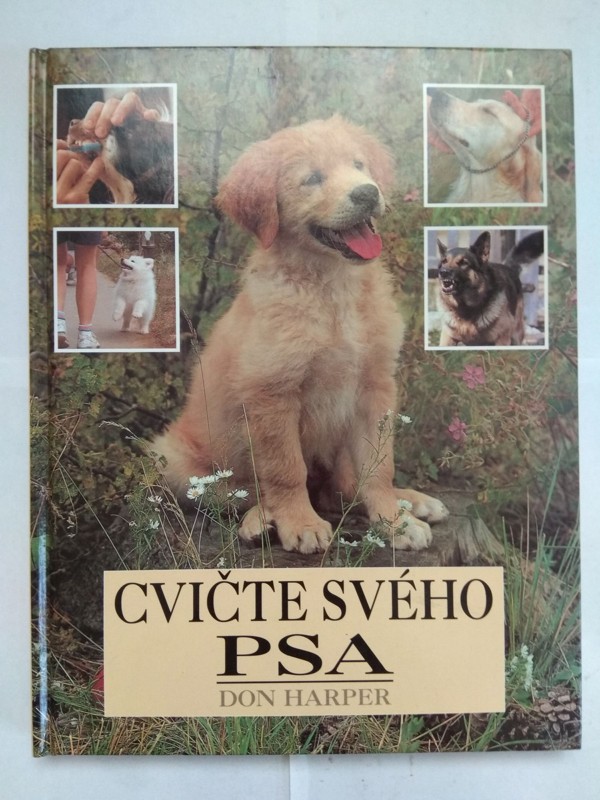 Cvičte svého psa