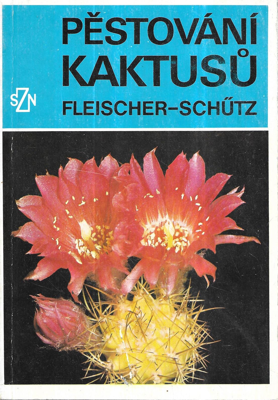 Pěstování kaktusů
