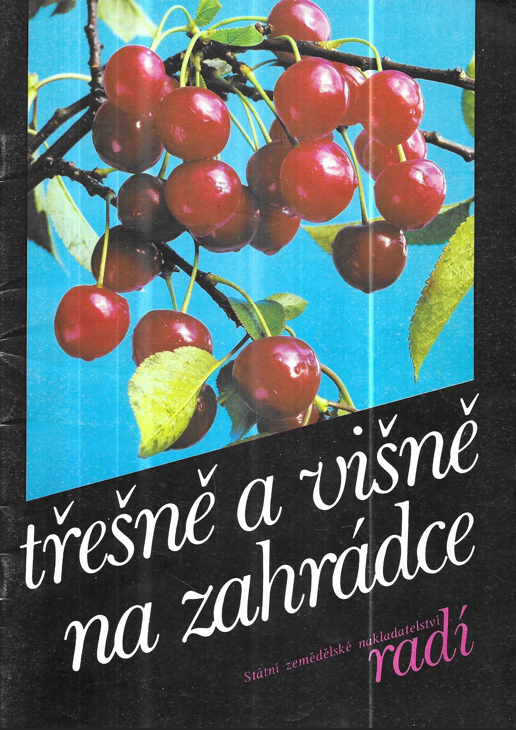 Třešně a višně na zahrádce